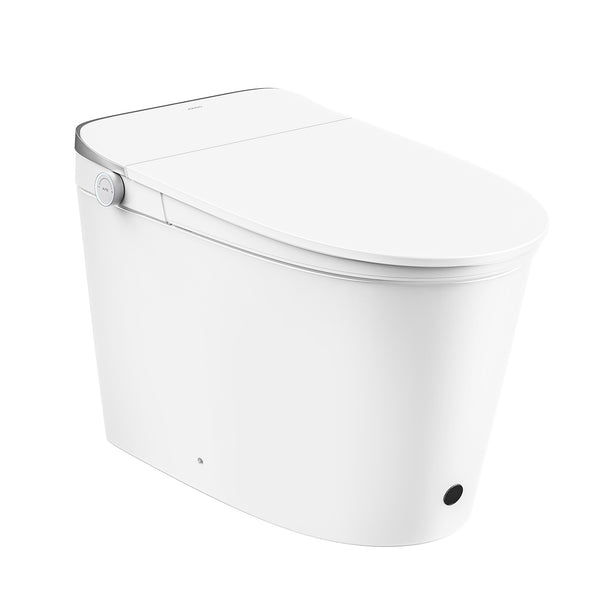Smart One-Piece Elongated Toilet with Bidet & Heated Seat (Toilet Only / With Foam Kit)