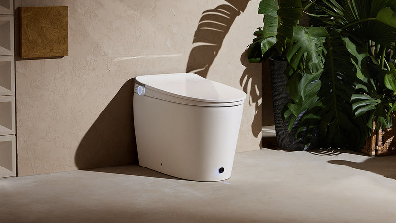 Smart Toilets
